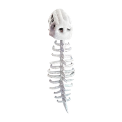 Dinosaur Skeleton Costume Set – Kids Halloween Onesie with Headband