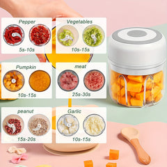 FLZH Electric Food Processor 250ml – USB Rechargeable Mini Chopper for Meat, Vegetables & Garlic