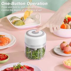 FLZH Electric Food Processor 250ml – USB Rechargeable Mini Chopper for Meat, Vegetables & Garlic