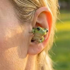 Cute Frog TWS Wireless Earbuds – 3D Animal Design In-Ear Bluetooth Headphones with Charging Case