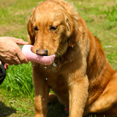 Portable Dog Water Bottle – Pet Travel Water & Food Dispenser Cup for Outdoor Walking & Feeding